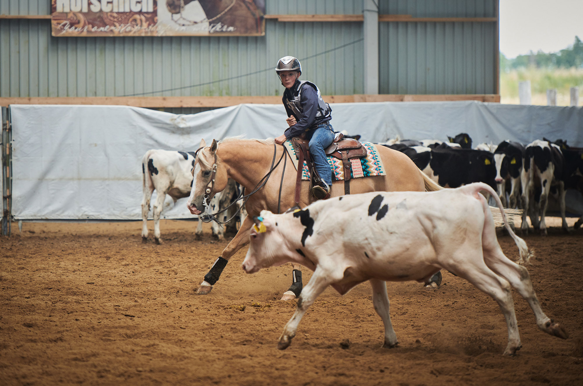 220711 0494 kopia 1 Österlenskraft