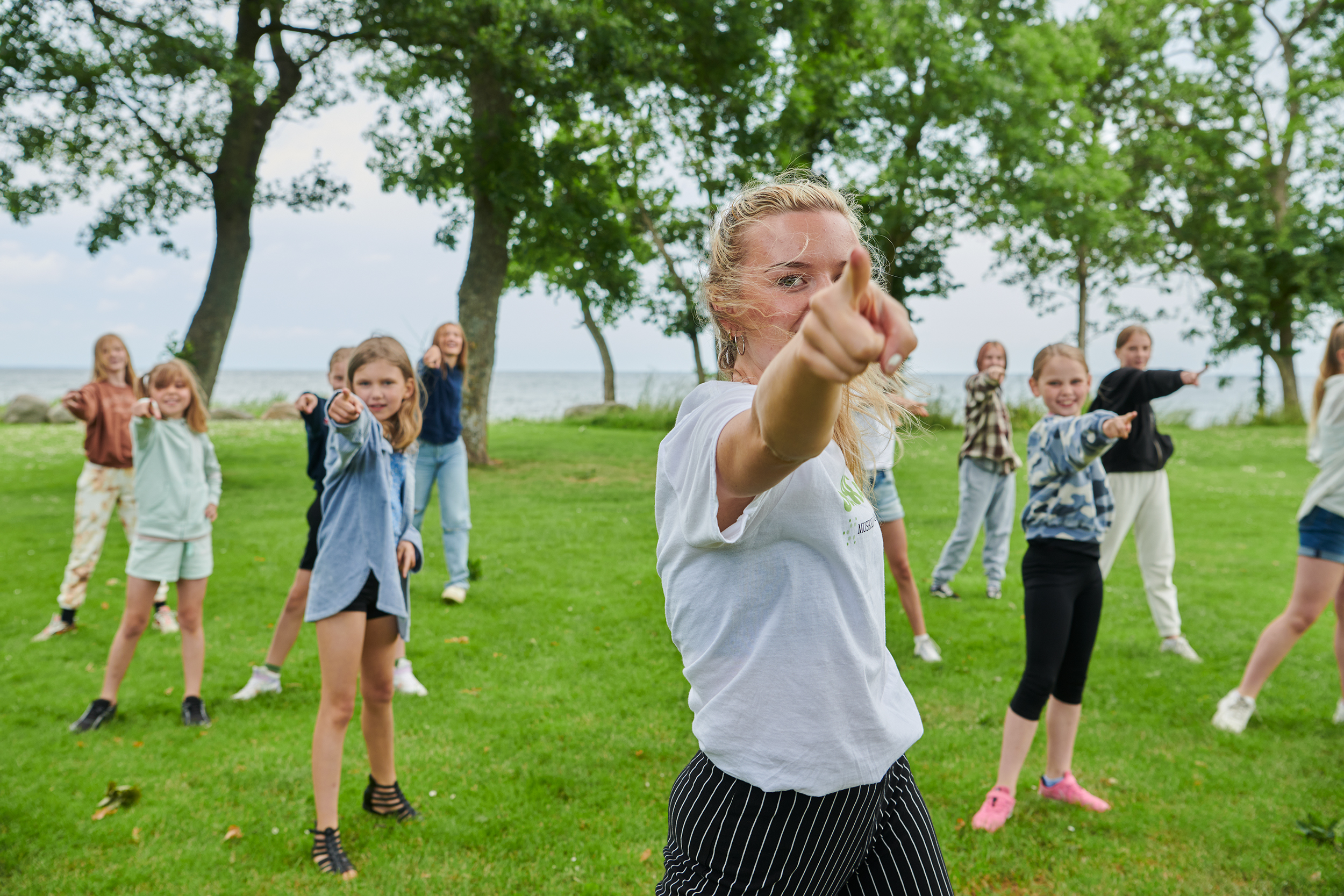 DSC4411 Österlenskraft