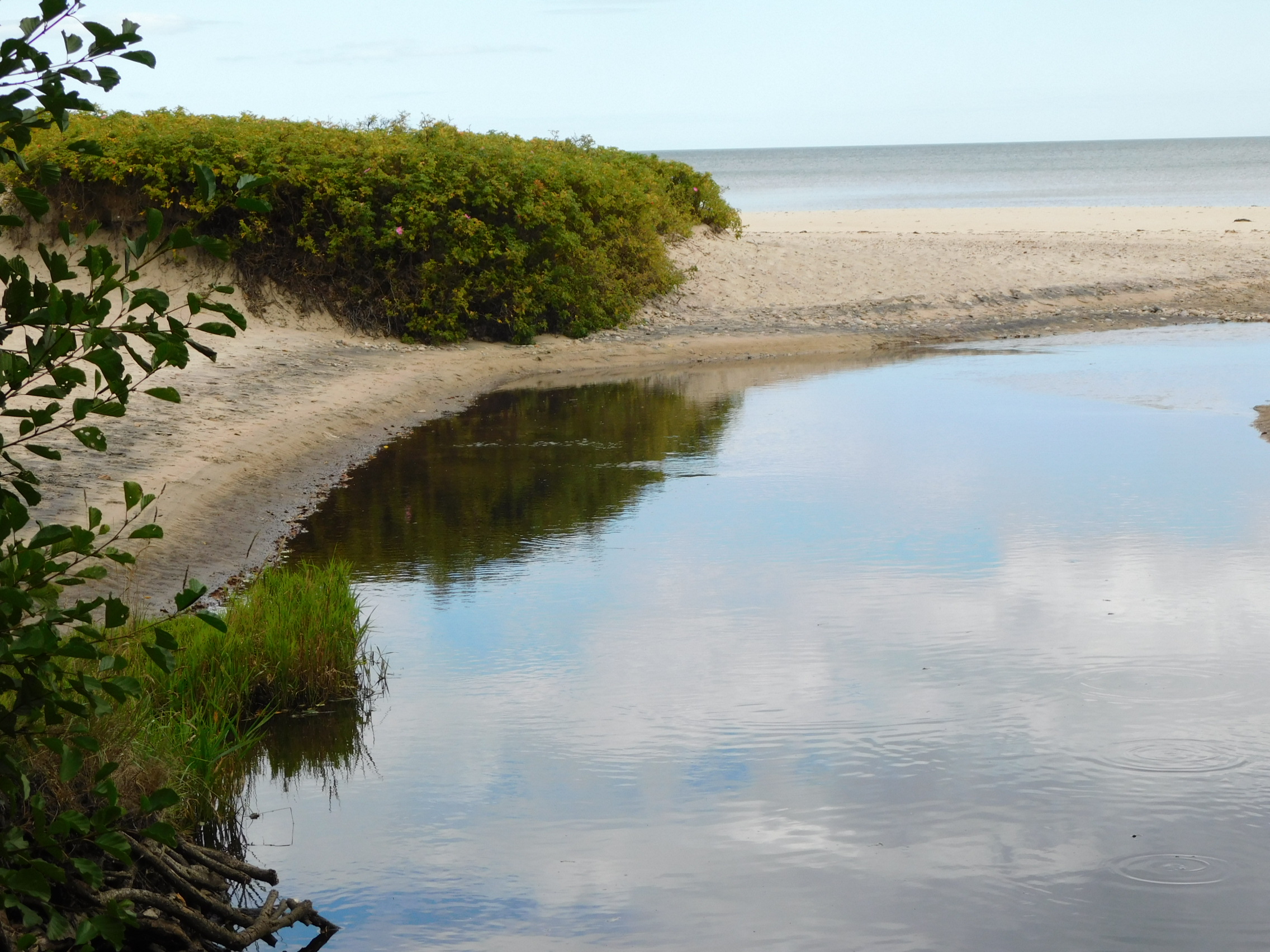 Bild på utsikten över havet vid haväng