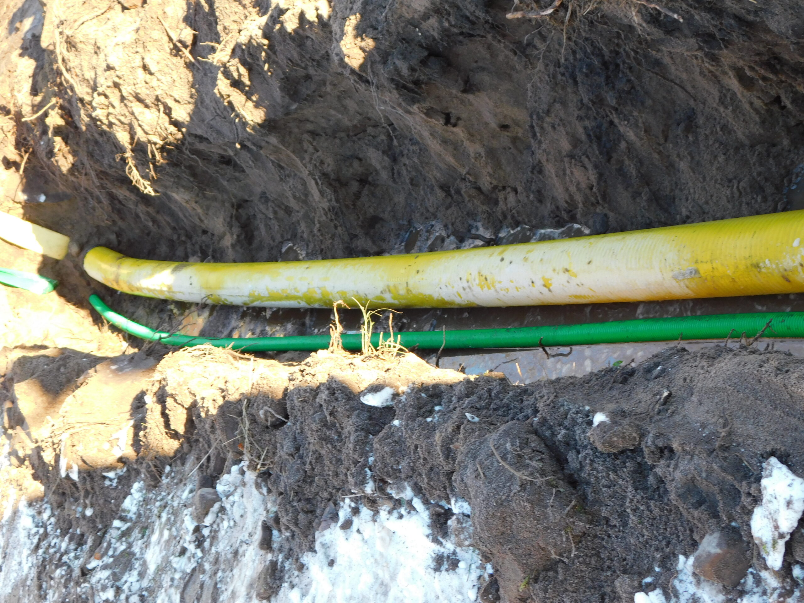 DSCN06531 scaled Österlenskraft