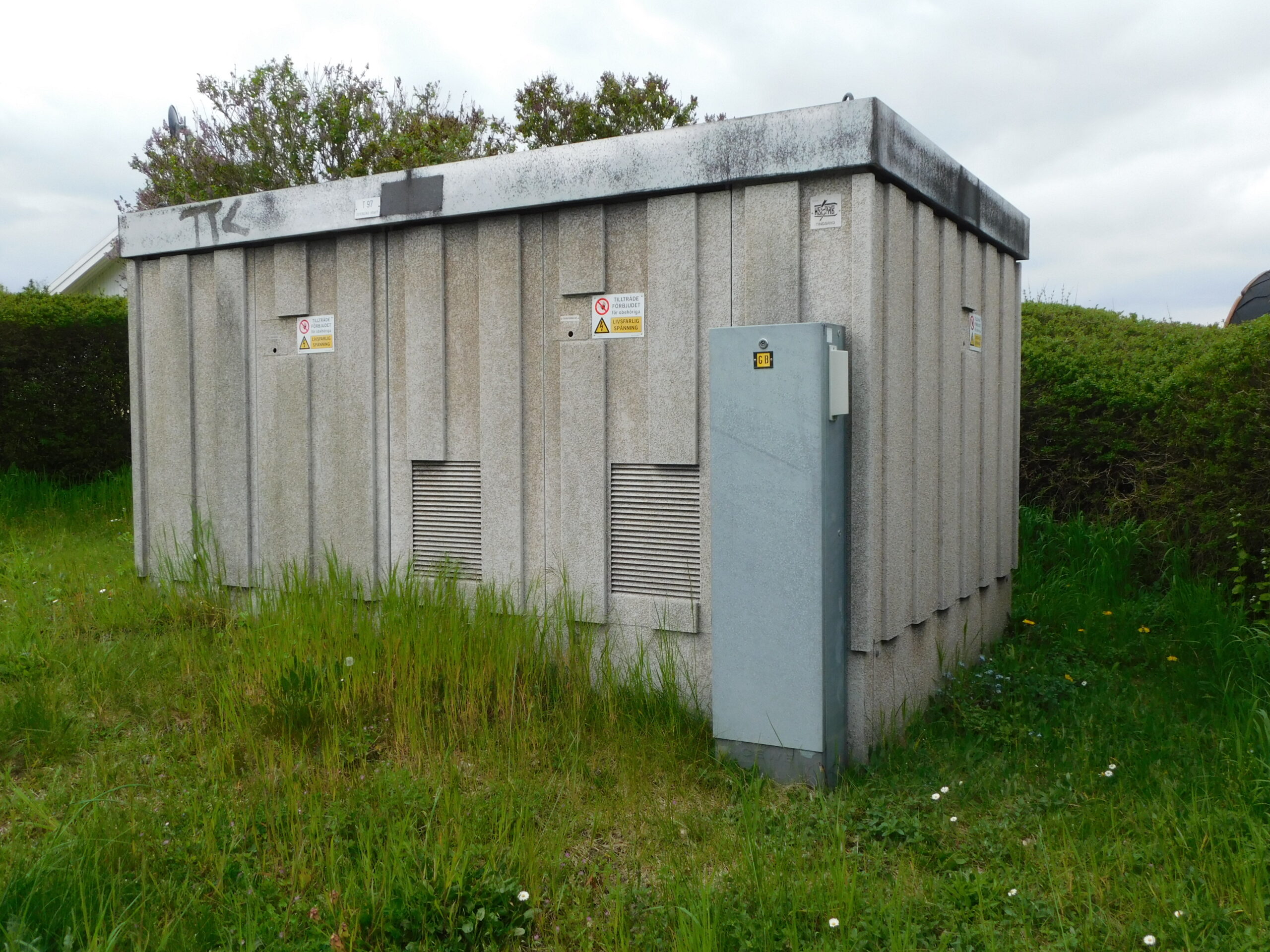 DSCN0708 scaled Österlenskraft