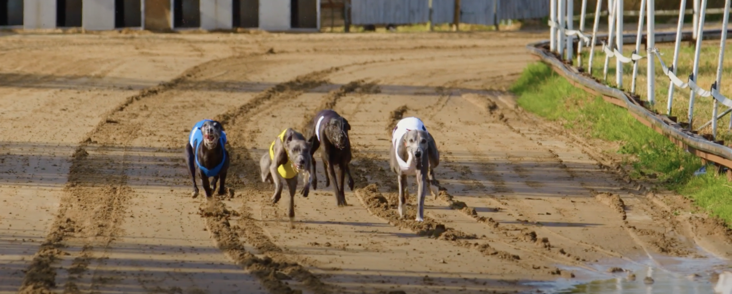 Skarmavbild 2023 11 21 kl. 10.49.12 Österlenskraft