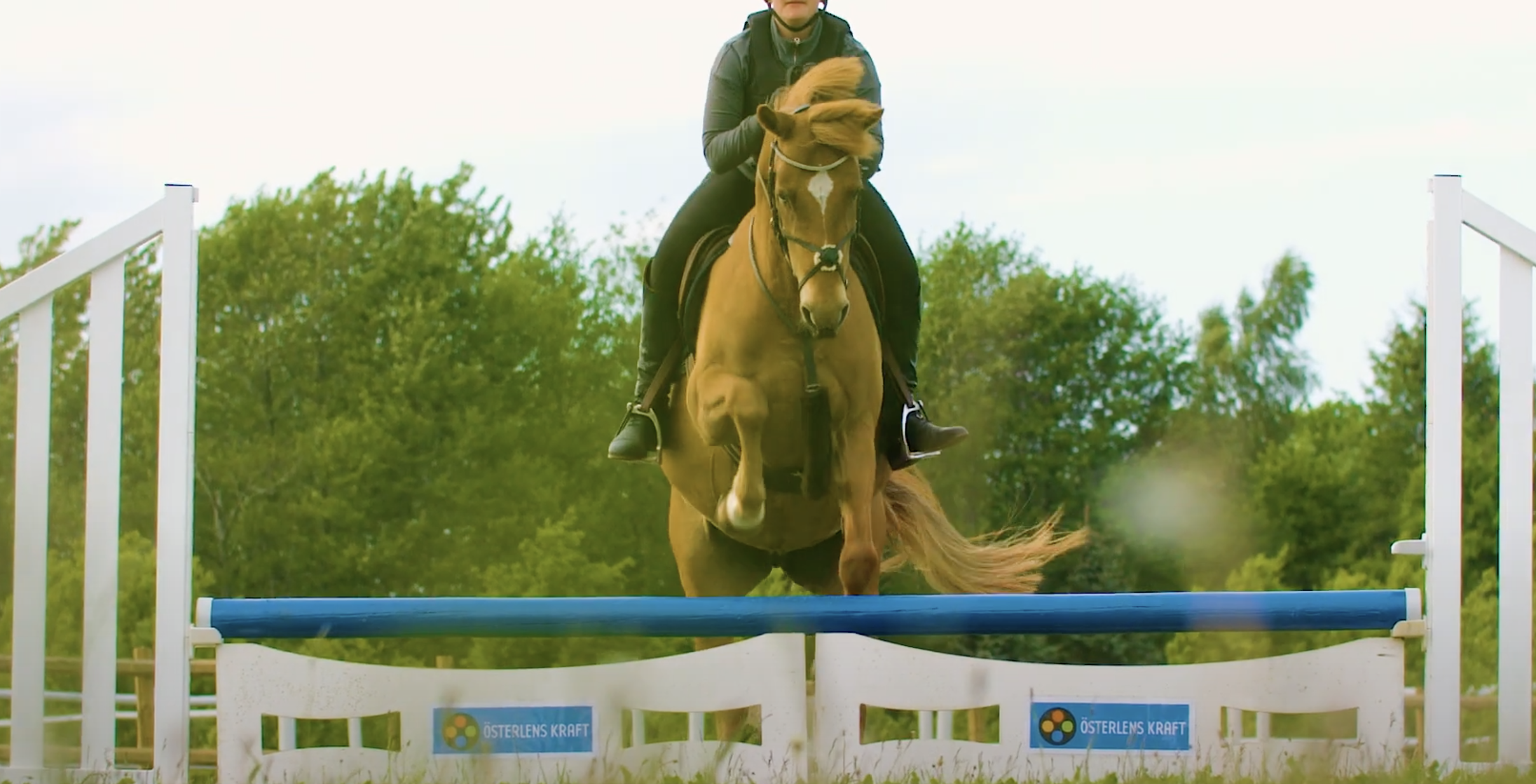 Skarmavbild 2023 11 21 kl. 10.55.00 Österlenskraft