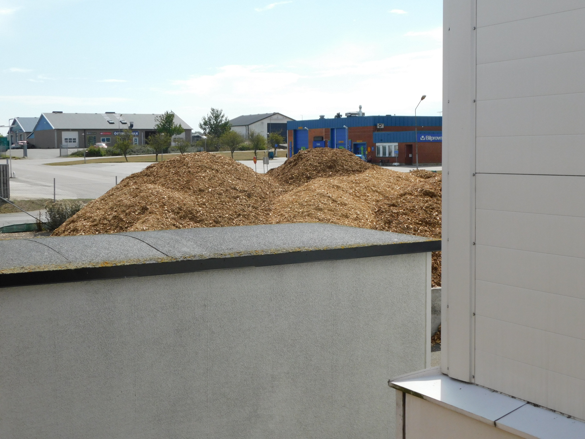 dscn0049 Österlenskraft