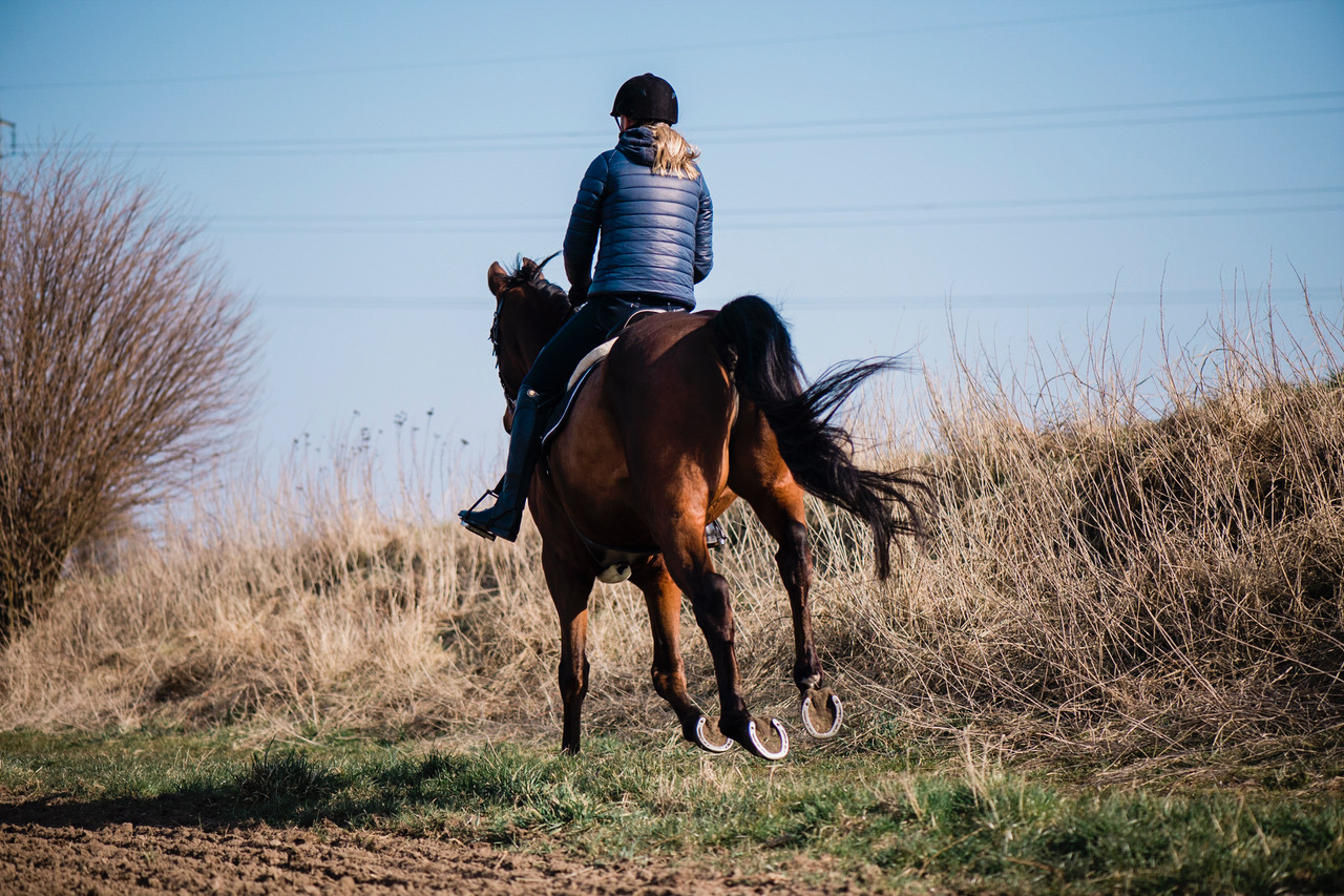 nellie 2367 Österlenskraft