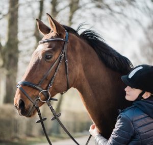 nellie test 2565 copy 2 min Österlenskraft